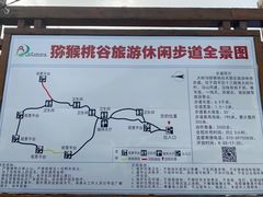 -大岭沟猕猴桃谷风景区