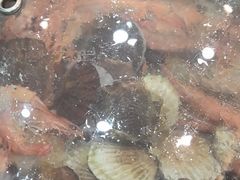 -仙螺岛海鲜自助餐厅(总店)