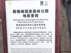 -磬锤峰森林公园