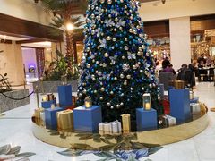 -太湖饭店玉兰厅(自助餐厅)