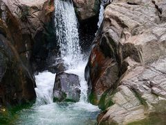 -广州白江湖森林公园