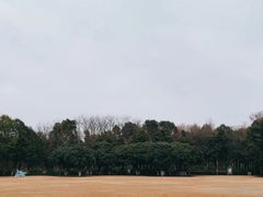 -青枫公园