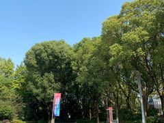 -昆山城市生态森林公园