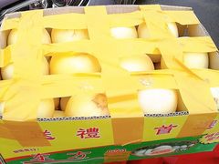 -红星农博物流中心