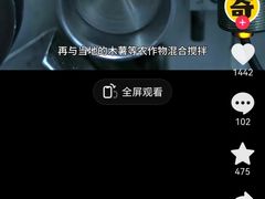 -约翰·菲茨杰拉德·肯尼迪国际机场