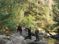 -花岩国家森林公园