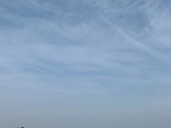 -瑶湖郊野森林公园