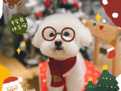 -佐罗家宠物馆·猫文化馆(紫霞路店)