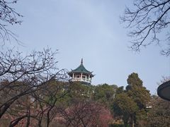 -无锡梅园公园