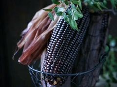 -鸿港海鲜批发市场