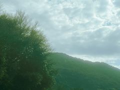 -梧桐山风景名胜区