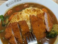-COCO壱番屋(北京平安国际金融中心店)