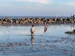 -南汇嘴观海公园