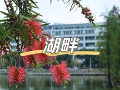-顺德职业技术大学