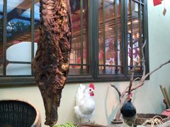 -洞庭土菜馆(天河北总店)