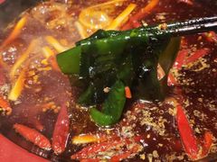 -蜀辣居鲜货老火锅(红牌楼店)
