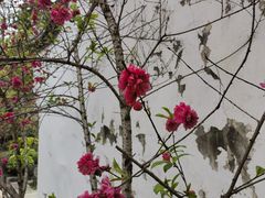 -乌山风景区