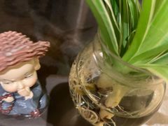 -小厨娘淮扬菜(六合欢乐港店)