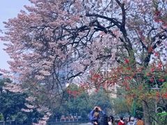 -红星桥(地铁站)