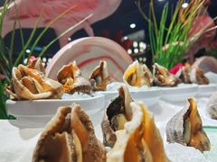-五月罗马海鲜自助餐厅(陆家嘴店)