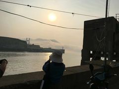 -枸杞岛