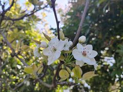 -梁鸿国家湿地公园