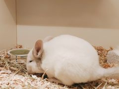 -龙猫仔乐园(惠福东路店)