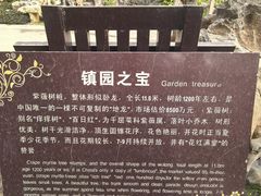 -朴园