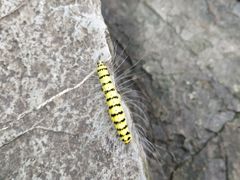 -陶祖圣境风景区