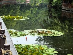 -洛阳白云山景区