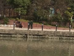 -苏州河梦清园环保主题公园