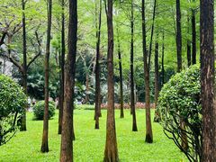 -晓港公园