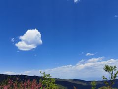 -北京西山国家森林公园