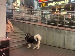 -观音桥步行街