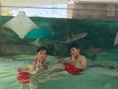 -新加坡水上探险乐园