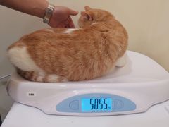 -萌兽医馆·犬猫专科·眼科中心·宠物医院(朝阳门分院)