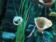 -沈阳海洋探索中心