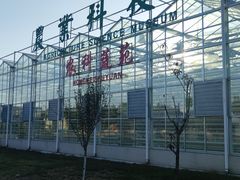 -兰陵国家农业公园