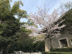 -热田神宫