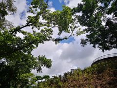 -九龙公园