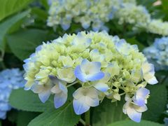 -汉江湾体育公园