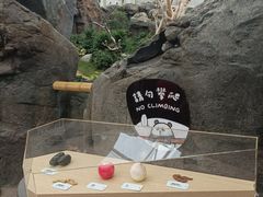 -香港海洋公园