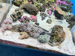 -鹿儿岛水族馆