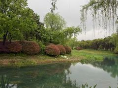 -贡湖湾湿地公园