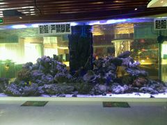 -西玛西餐厅(乐晟广场店)