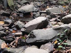 -梧桐山风景名胜区