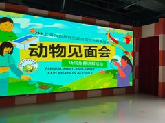 -上海大自然野生昆虫馆(东方明珠·爬宠昆虫探索中心)