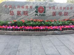-中国人民解放军总医院(301医院)