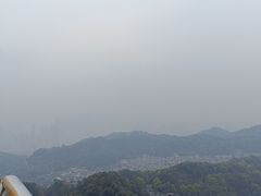 -南山植物园