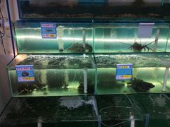 水产区-琼大师东方烤乳猪(亚特兰蒂斯店)